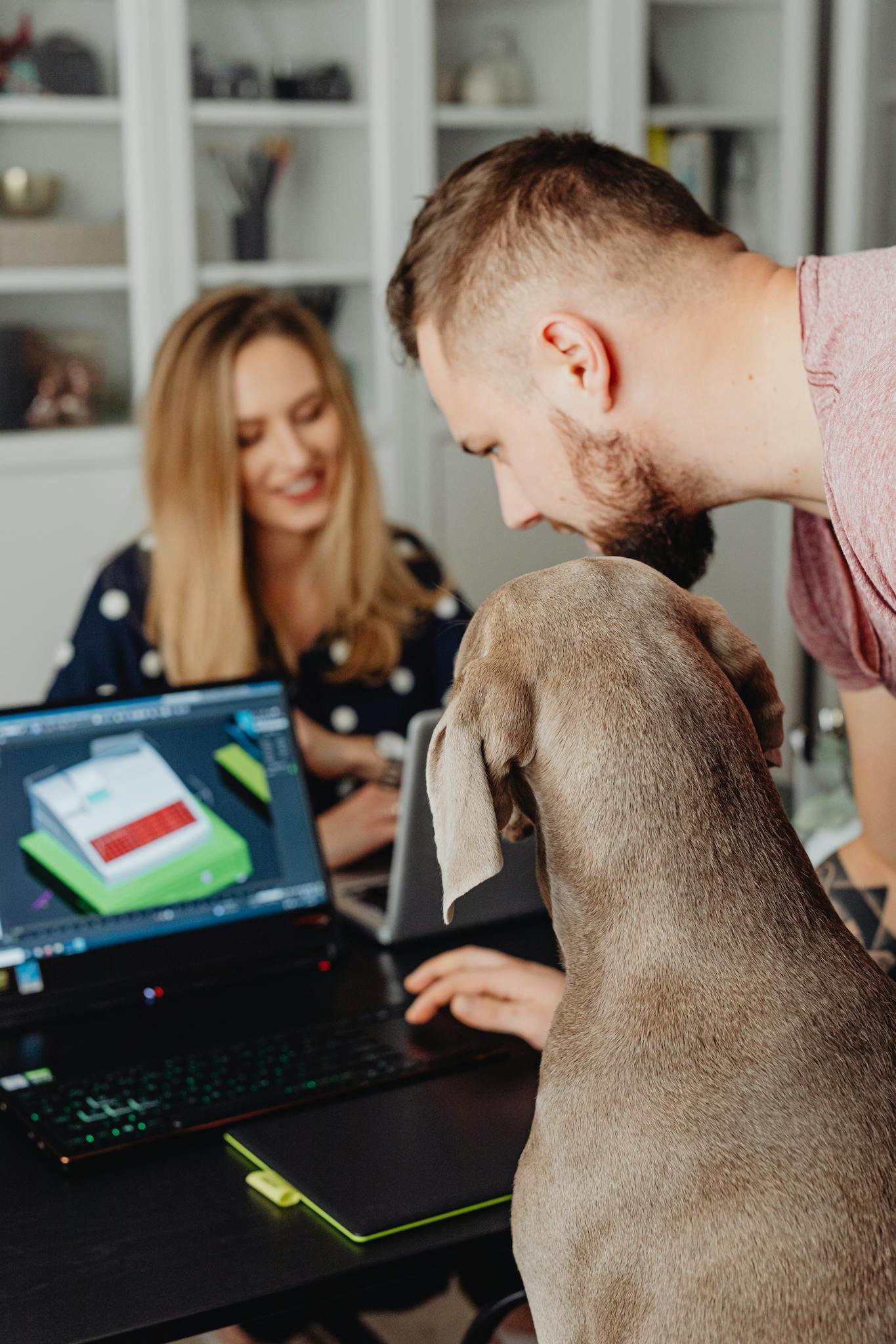 Colleagues collaborating in office with dog watching computer screen.