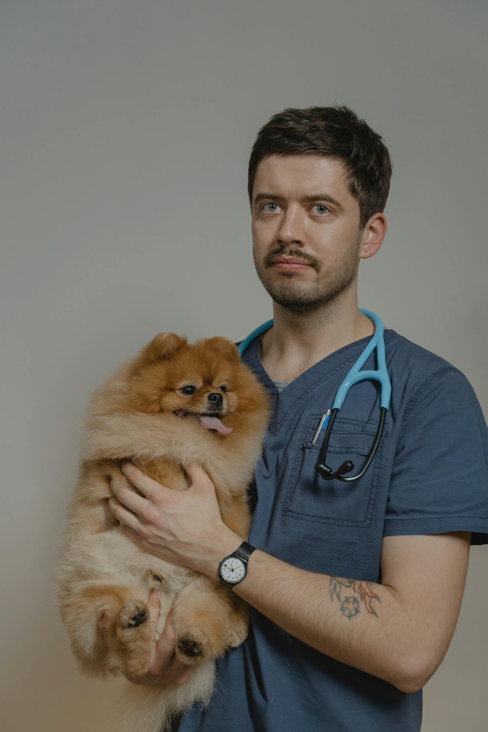 Veterinarian holding a fluffy Pomeranian dog in a clinic setting, wearing a stethoscope.